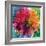 Photographic Layer Work of a Big Blossom in Multicolor-Alaya Gadeh-Framed Photographic Print