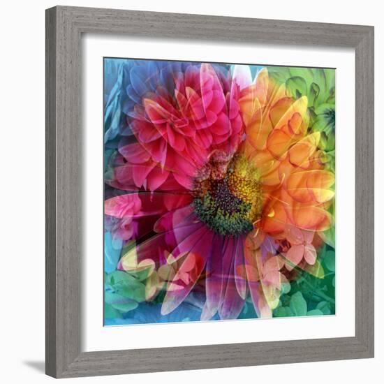 Photographic Layer Work of a Big Blossom in Multicolor-Alaya Gadeh-Framed Photographic Print