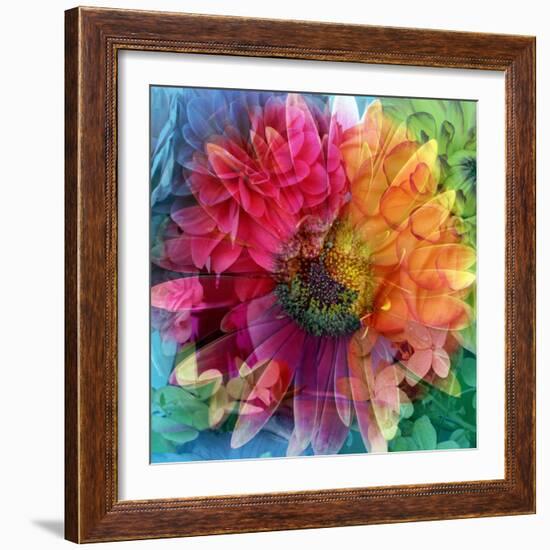 Photographic Layer Work of a Big Blossom in Multicolor-Alaya Gadeh-Framed Photographic Print