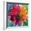 Photographic Layer Work of a Big Blossom in Multicolor-Alaya Gadeh-Framed Photographic Print