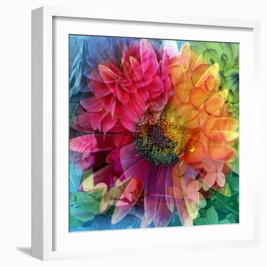 Photographic Layer Work of a Big Blossom in Multicolor-Alaya Gadeh-Framed Photographic Print