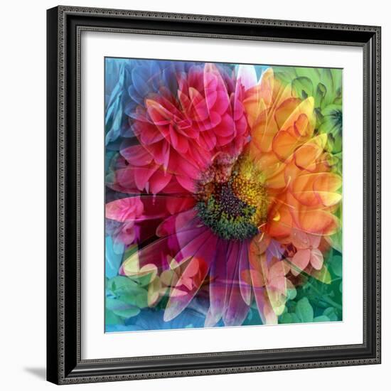 Photographic Layer Work of a Big Blossom in Multicolor-Alaya Gadeh-Framed Photographic Print