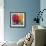 Photographic Layer Work of a Big Blossom in Multicolor-Alaya Gadeh-Framed Photographic Print displayed on a wall