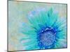 Photographic Layer Work of a Gerber Daisy with Textureand Floral Ornaments in Blue and Green Tones-Alaya Gadeh-Mounted Photographic Print