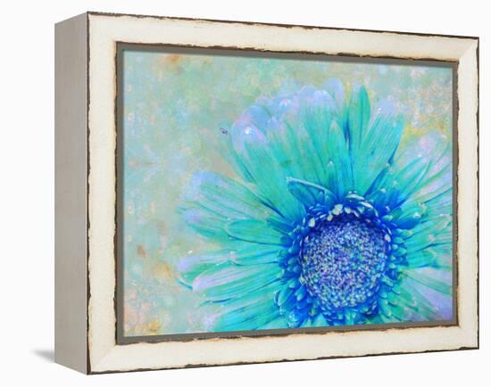 Photographic Layer Work of a Gerber Daisy with Textureand Floral Ornaments in Blue and Green Tones-Alaya Gadeh-Framed Premier Image Canvas