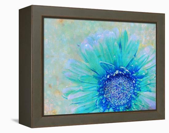 Photographic Layer Work of a Gerber Daisy with Textureand Floral Ornaments in Blue and Green Tones-Alaya Gadeh-Framed Premier Image Canvas