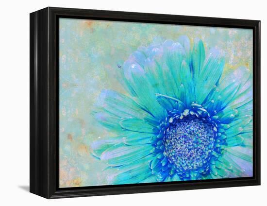 Photographic Layer Work of a Gerber Daisy with Textureand Floral Ornaments in Blue and Green Tones-Alaya Gadeh-Framed Premier Image Canvas