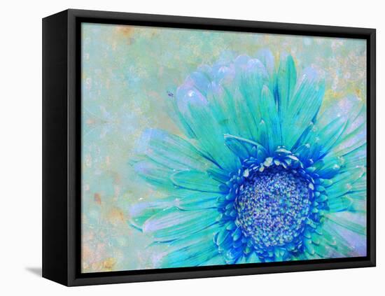 Photographic Layer Work of a Gerber Daisy with Textureand Floral Ornaments in Blue and Green Tones-Alaya Gadeh-Framed Premier Image Canvas