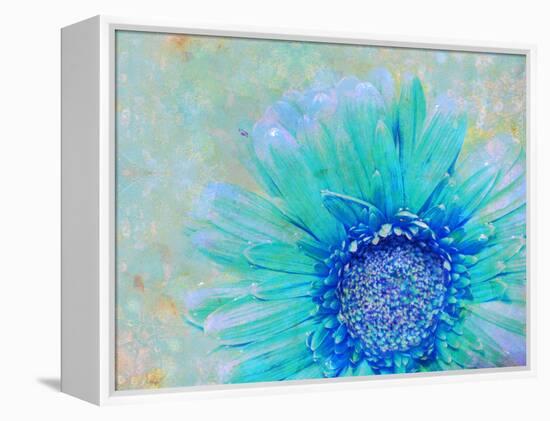 Photographic Layer Work of a Gerber Daisy with Textureand Floral Ornaments in Blue and Green Tones-Alaya Gadeh-Framed Premier Image Canvas