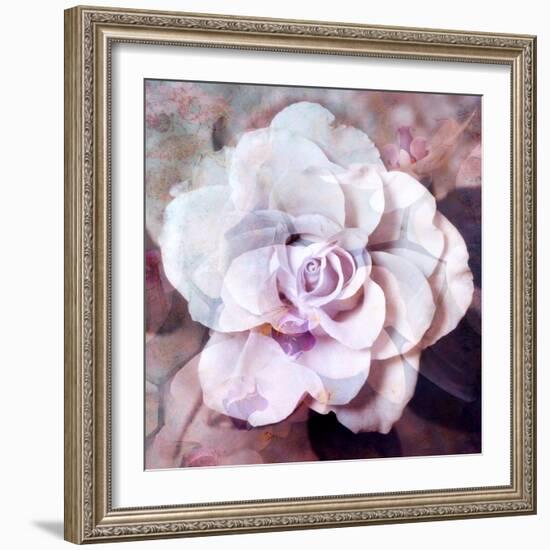 Photographic Layer Work of a White Rose-Alaya Gadeh-Framed Photographic Print