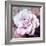 Photographic Layer Work of a White Rose-Alaya Gadeh-Framed Photographic Print