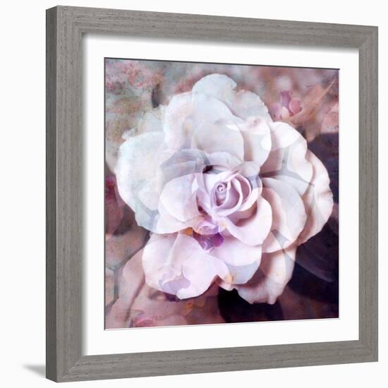 Photographic Layer Work of a White Rose-Alaya Gadeh-Framed Photographic Print