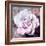 Photographic Layer Work of a White Rose-Alaya Gadeh-Framed Photographic Print