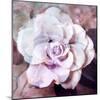 Photographic Layer Work of a White Rose-Alaya Gadeh-Mounted Photographic Print