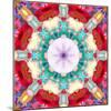 Photographic Mandala from Flowers-Alaya Gadeh-Mounted Photographic Print