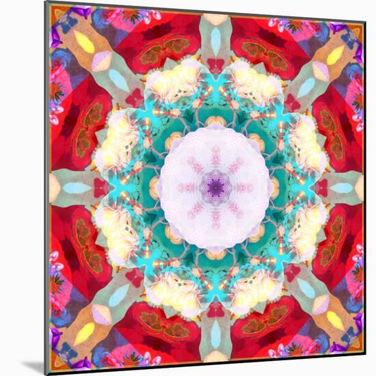 Photographic Mandala from Flowers-Alaya Gadeh-Mounted Photographic Print