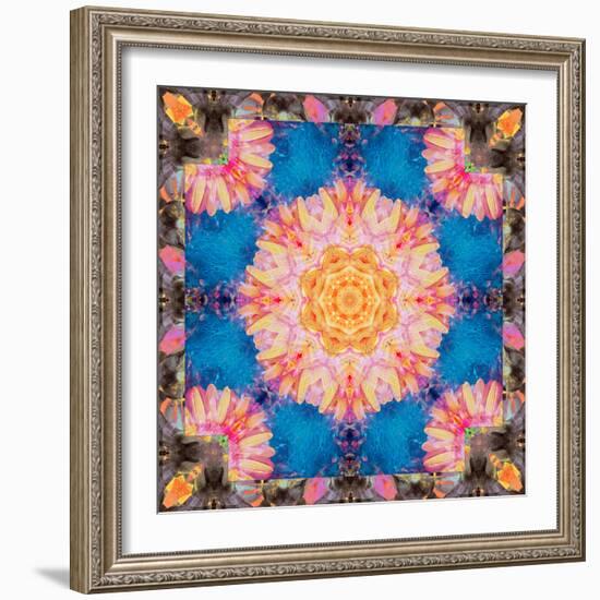 Photographic Mandala Ornament from Flowers-Alaya Gadeh-Framed Photographic Print