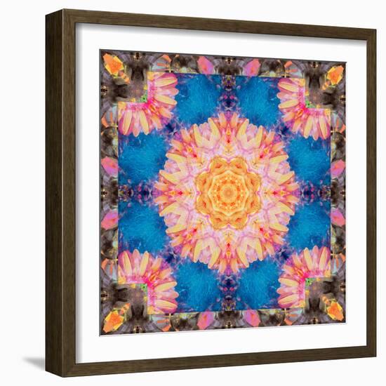 Photographic Mandala Ornament from Flowers-Alaya Gadeh-Framed Photographic Print