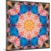 Photographic Mandala Ornament from Flowers-Alaya Gadeh-Mounted Photographic Print