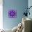 Photographic Mandala Ornament in Purple Tones-Alaya Gadeh-Photographic Print displayed on a wall