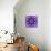 Photographic Mandala Ornament in Purple Tones-Alaya Gadeh-Photographic Print displayed on a wall