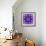 Photographic Mandala Ornament in Purple Tones-Alaya Gadeh-Framed Photographic Print displayed on a wall