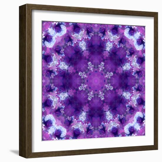 Photographic Mandala Ornament in Purple Tones-Alaya Gadeh-Framed Photographic Print