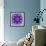 Photographic Mandala Ornament in Purple Tones-Alaya Gadeh-Framed Photographic Print displayed on a wall