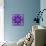 Photographic Mandala Ornament in Purple Tones-Alaya Gadeh-Mounted Photographic Print displayed on a wall