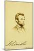 Photographic Portrait of Abraham Lincoln, 1864-Mathew Brady-Mounted Giclee Print