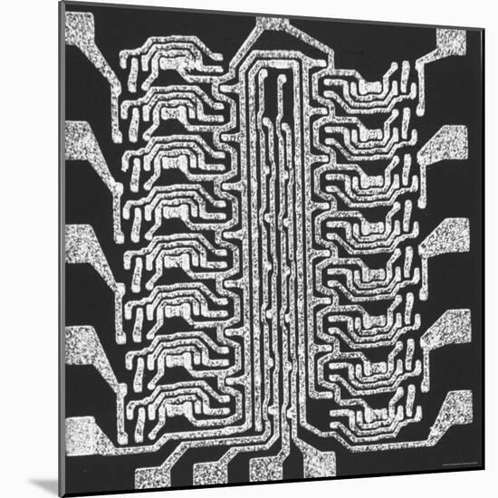 Photographically Produced Computer Circuit Magnified 40 Times-Henry Groskinsky-Mounted Photographic Print