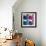 Photographs Annimo-null-Framed Art Print displayed on a wall