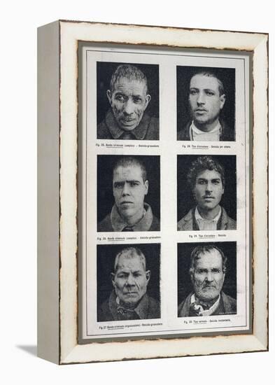 Photographs of Murderers Whose Criminal Nature Lombroso Believed is Revealed in Their Physiognomy-null-Framed Stretched Canvas