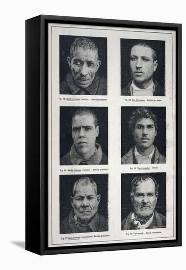 Photographs of Murderers Whose Criminal Nature Lombroso Believed is Revealed in Their Physiognomy-null-Framed Stretched Canvas