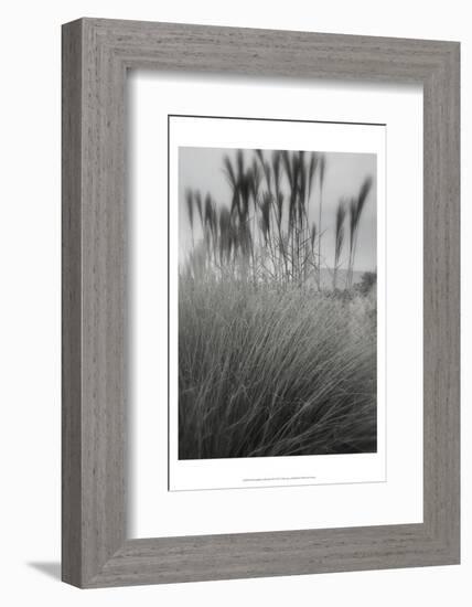 Photography/Landscape 180-DAG, Inc-Framed Photographic Print