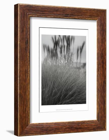 Photography/Landscape 180-DAG, Inc-Framed Photographic Print