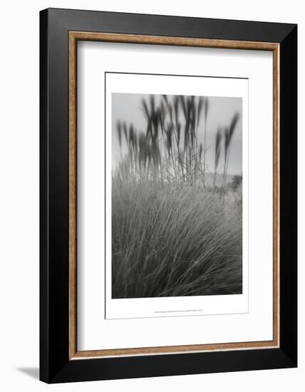 Photography/Landscape 180-DAG, Inc-Framed Photographic Print