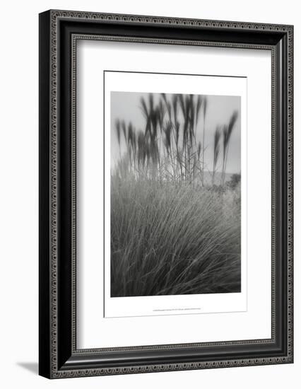 Photography/Landscape 180-DAG, Inc-Framed Photographic Print