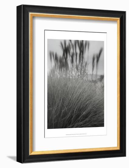 Photography/Landscape 180-DAG, Inc-Framed Photographic Print