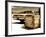 Photography Style, Route 66, Gas Station, Arizona, United States, USA-Philippe Hugonnard-Framed Photographic Print