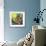 Photography-English School-Framed Giclee Print displayed on a wall