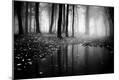 Photographic Print