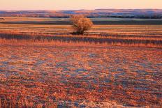 Kansas Sunset-photojohn830-Photographic Print