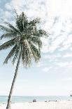 Palm Tree at the Beach 2-Photolovers-Photographic Print