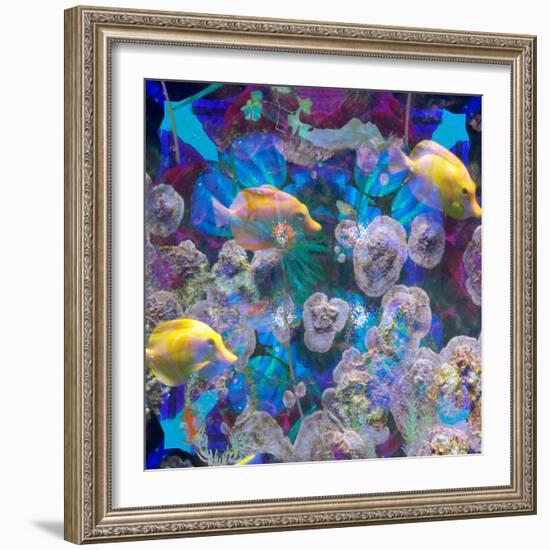 Photomontage from Fish and Flowers Mandala-Alaya Gadeh-Framed Photographic Print