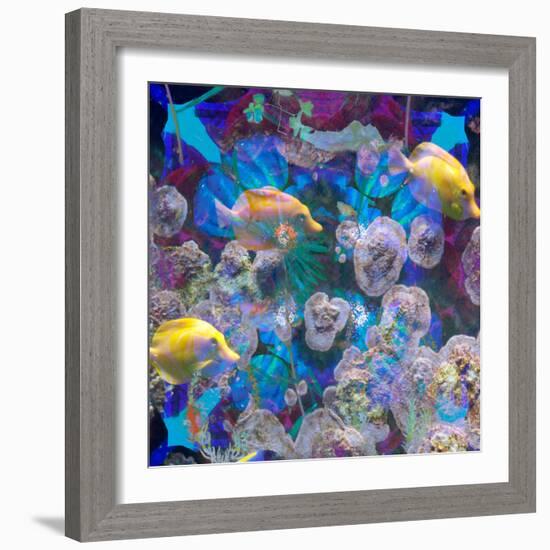 Photomontage from Fish and Flowers Mandala-Alaya Gadeh-Framed Photographic Print