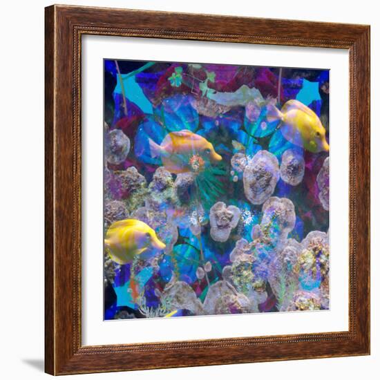 Photomontage from Fish and Flowers Mandala-Alaya Gadeh-Framed Photographic Print