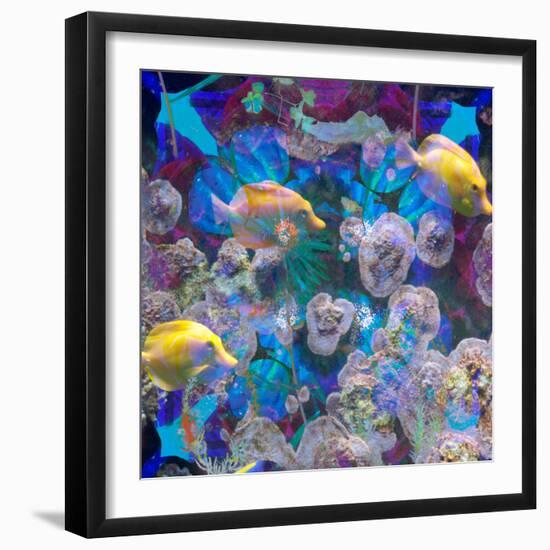 Photomontage from Fish and Flowers Mandala-Alaya Gadeh-Framed Photographic Print