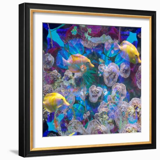 Photomontage from Fish and Flowers Mandala-Alaya Gadeh-Framed Photographic Print