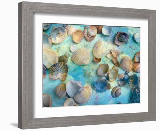 Photomontage Mussels and Textures-Alaya Gadeh-Framed Photographic Print